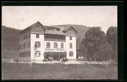 AK Enzklösterle i. Schwarzwald, Gasthaus zum Waldhorn