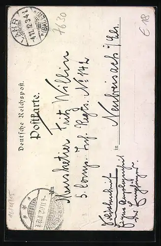 Lithographie Lahr, Partie a. d. Stadtpark, Rehe, Schwanenteich