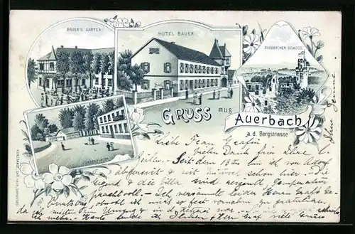Lithographie Auerbach, Hotel Bauer, Auerbacher Schloss, Fürstenlager