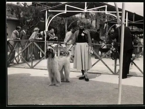 Fotografie Hundeschau, Dame mit Hund Afghane