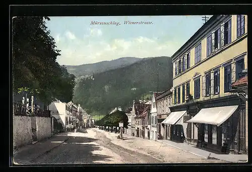 AK Mürzzuschlag, Wienerstrasse mit Geschäften und Bergblick