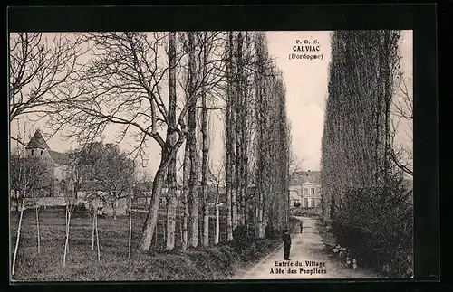 AK Calviac, Entrée du Village, Allée des Peupliers