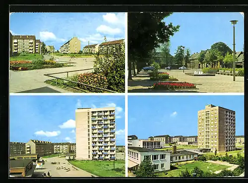 AK Wolfen, Ortspartie, Strassenpartie mit Wohnhäusern