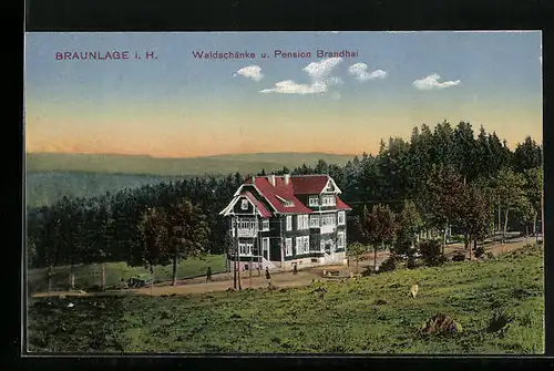 AK Braunlage i. H., Waldschänke und Pension Brandhai