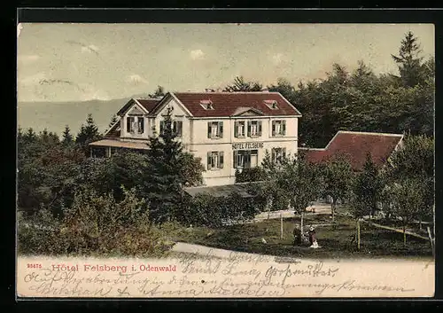 AK Felsberg / Odenwald, Hotel Felsberg