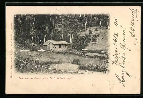 AK Temuco, Restaurant en la Montana virjen