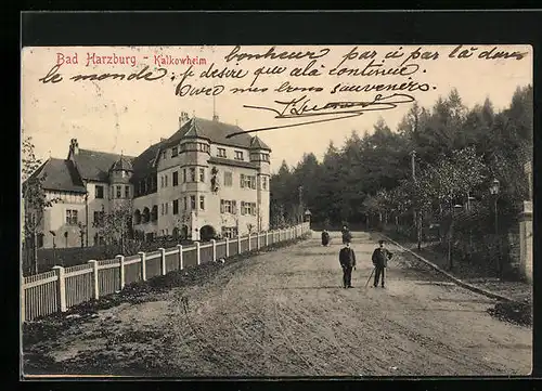 AK Bad Harzburg, Waldpartie am Kalkowheim