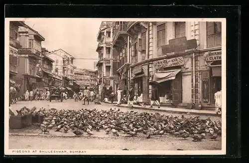 AK Bombay, Pigeons at Bhuleshwar