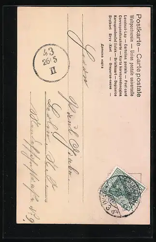 Foto-AK RPH Nr. 8214: Dame im Halbprofil