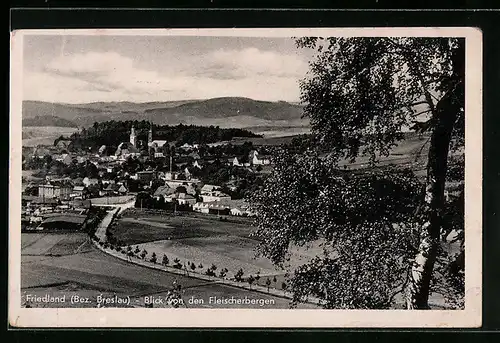 AK Friedland b. Breslau, Blick von den Fleischerbergen