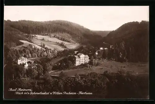 AK Bad Reinerz, Blick in`s Schmelzetal und Villen Daheim-Fortuna