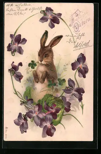 AK Osterhase und Veilchen zum Feste