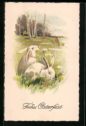 AK Osterhasen auf der Wiese