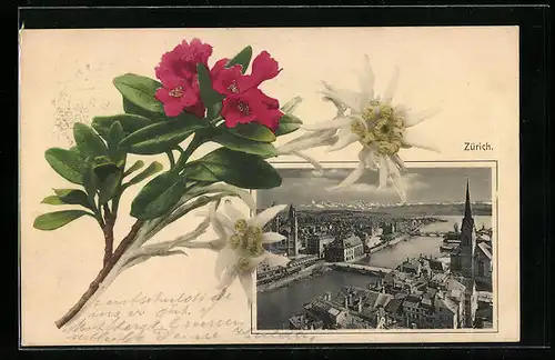 AK Zürich, Teilansicht mit Brücke und Alpenblumen