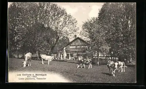 AK Noiraigue, Les Oeillons