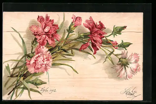 Lithographie Nelken in voller Blütenpracht