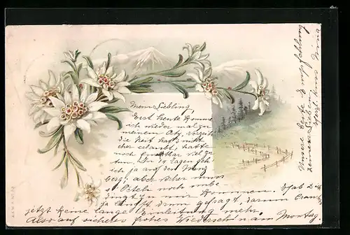 Lithographie Gebirgspanorama und Edelweiss in voller Blütenpracht