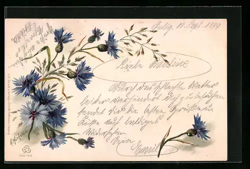 Lithographie Kornblumen in voller Blütenpracht