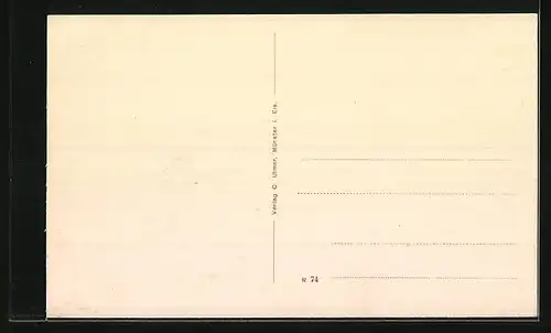 AK Münster i. Els., Generalansicht mit dem Hohrodberg