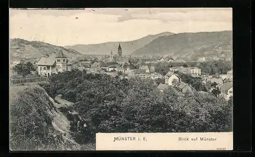 AK Münster i. E., Blick auf die Stadt und die Kirchen im Hintergrund