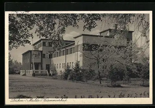 AK Düben / Mulde, Eisenmoorbad