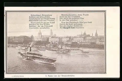 AK Mainz, Panorama von der Strassenbrücke gesehen, Flusspartie mit Dampfer
