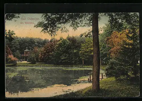 AK Bad Oldesloe, Salzteich