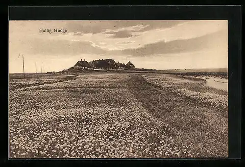 AK Hallig Hooge, Teilansicht