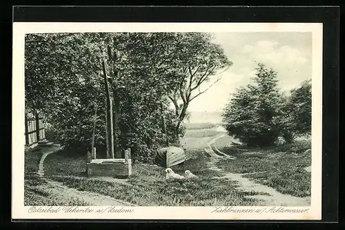 AK Ückeritz / Usedom, Ziehbrunnen a. Achterwasser