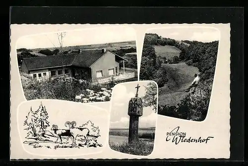 AK Baustert / Eifel, Hotel-Pension Haus Wiedenhof