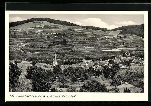 AK Bickensohl a. K., Ortsansicht aus der Vogelschau