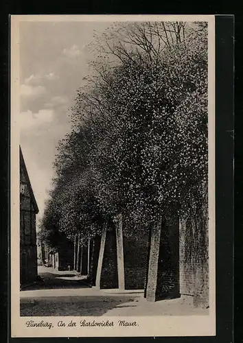 AK Lüneburg, an der Bardowieker Mauer