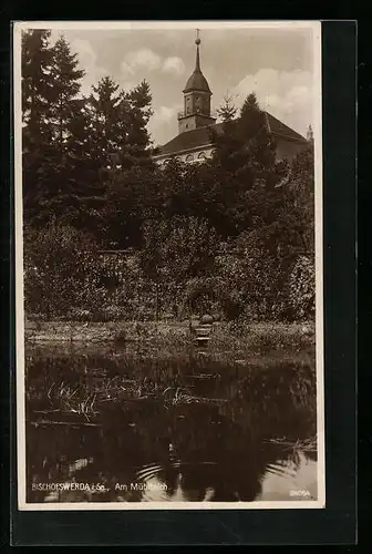 AK Bischofswerda i. Sa., am Ufer des Mühlenteich