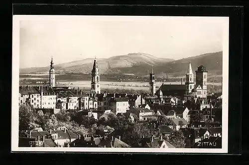 AK Zittau, Generalansicht der Stadt mit den Kirchtürmen