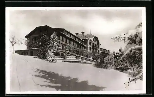 AK Aix-les-Bains, Le Mont Revard & l`Hôtel P.-L.-M.