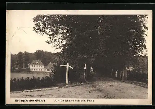 AK Göhrde, alte Lindenallee nach dem Schloss