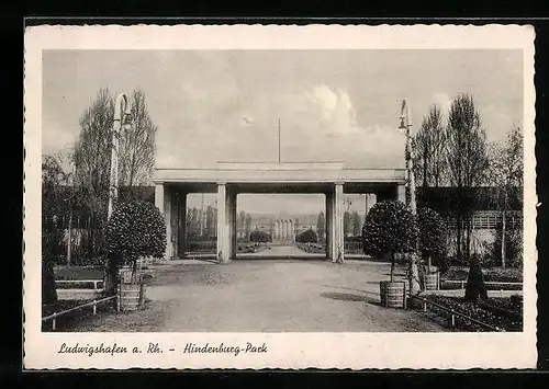 AK Ludwigshafen a. Rh., Blick in den Hindenburg-Park