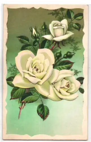 Oblaten-AK Weisse Rosen zum Teil aufgeklebt