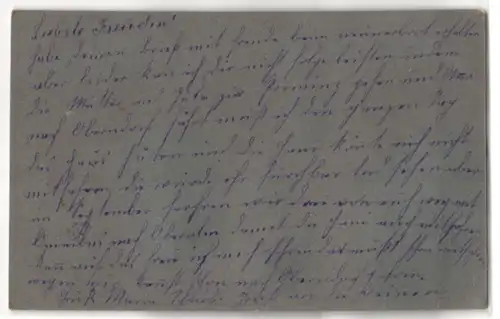 Trockenblumen-AK Getrocknete Gräser und Edelweiss zum Kranz gebunden