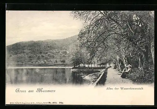 AK Mammern, Allee der Wasserkuranstalt