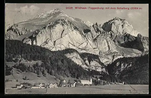 AK Wildhaus /Toggenburg, Ort mit Schafberg