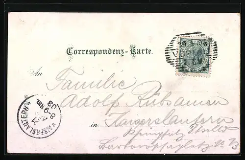 AK Vöslau, Ortsansicht mit Häusern