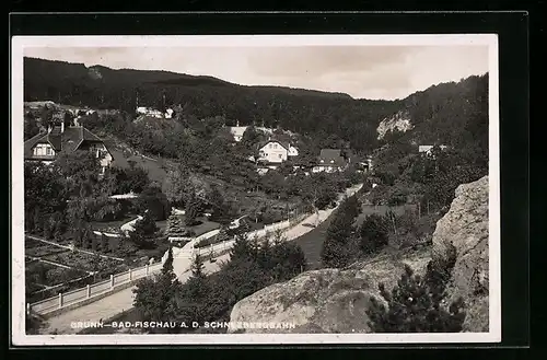 AK Brunn-Bad-Fischau, Blick auf den Ort vom Felsen aus