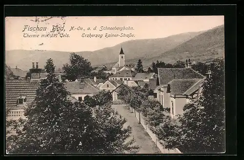 AK Bad Fischau, Erzherzog Rainer-Strasse