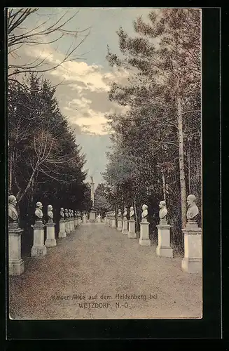 AK Wetzdorf, Kaiser-Allee auf dem Heldenberg