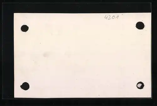 AK Gramastetten, Gesamtansicht aus der Ferne