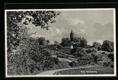 AK Wildenburg, Blick auf die Burg Wildenburg