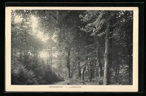 AK Rengsdorf, Wald auf der Luisenhöhe