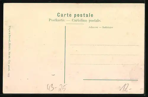 AK Zürich, Stadthaus und Post, Tonhalle, Stadttheater, Harfe mit Sängern