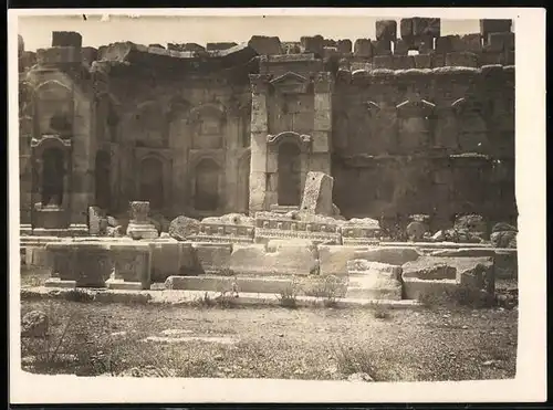 Fotografie unbekannter Fotograf, Ansicht Baalbek, Ruine des Bacchustempel